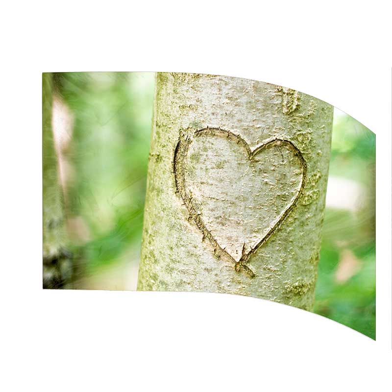 Banderas digitales: Estilo 1716